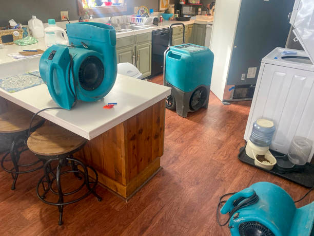 Best Water damage mitigation services  in Bonners Ferry, ID