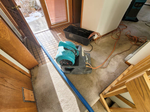 Best Professional water damage repair  in Bonners Ferry, ID