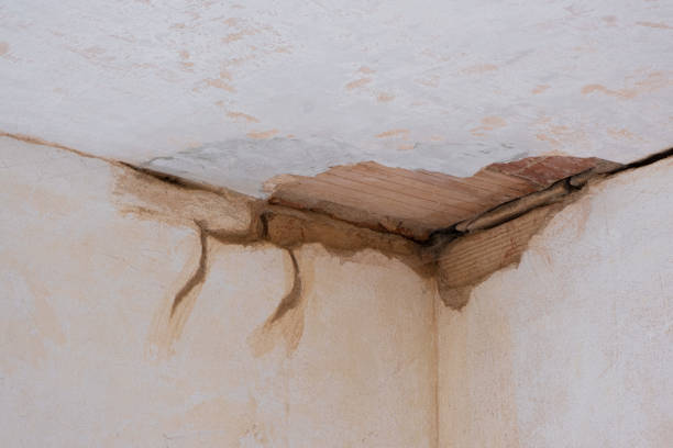  Bonners Ferry, ID Water damage restoration Pros