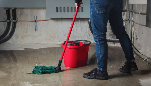 Best Local water damage restoration  in Bonners Ferry, ID