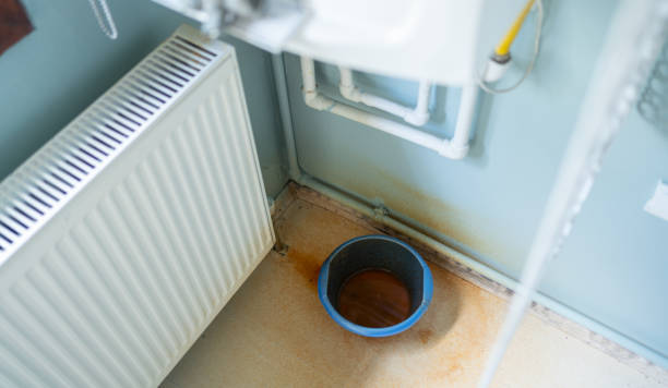 Best Flood damage cleanup  in Bonners Ferry, ID