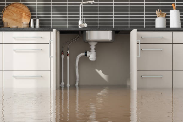 Best 24/7 water damage repair  in Bonners Ferry, ID